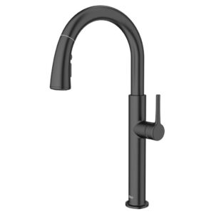 American Standard 4803300.243