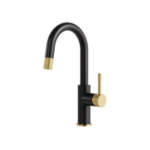 Aquabrass 6235BEBK