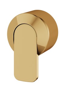 Aquabrass ABSH49095PGD