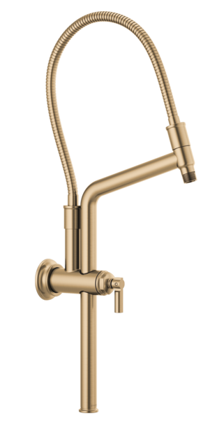 Brizo Brizo 81376-GL