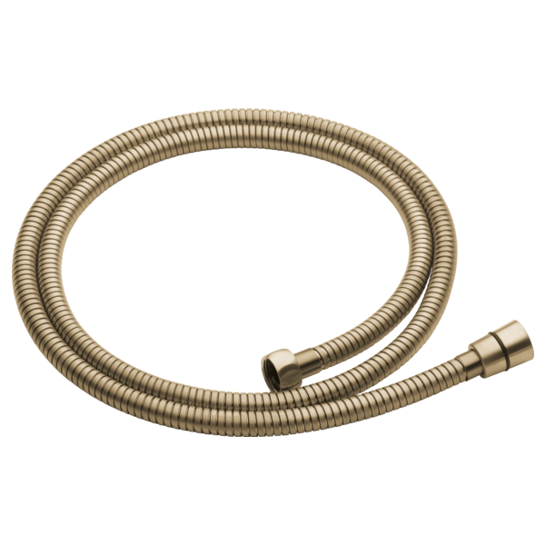Brizo Brizo RP49645GL