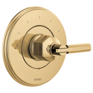 Brizo T66T076-PGLHP