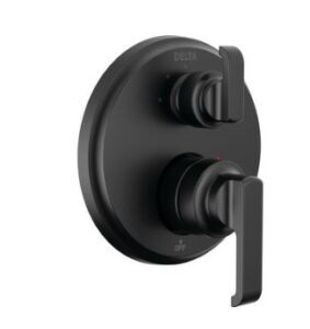 Delta T24889-BL