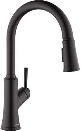 Hansgrohe Hansgrohe 04793670