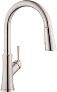 Hansgrohe 04793830