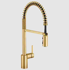 Moen 5923BG