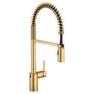 Moen 5923EWBG