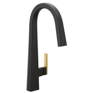 Moen S75005BL