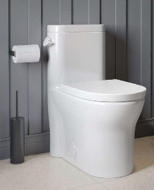Toilettes monopièce